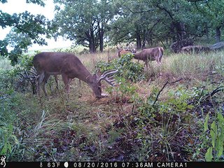 Property photo 59 - LAND AUCTION - 440+/- ACRES OFFERED IN 17 TRACTS IN OSAGE CO., OKLAHOMA